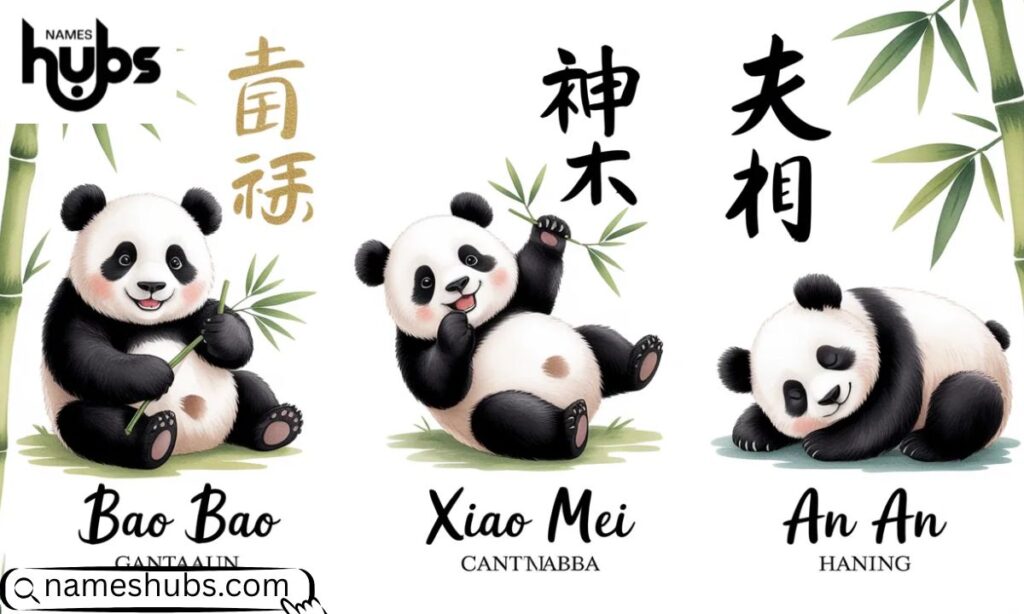Chinese Panda Names