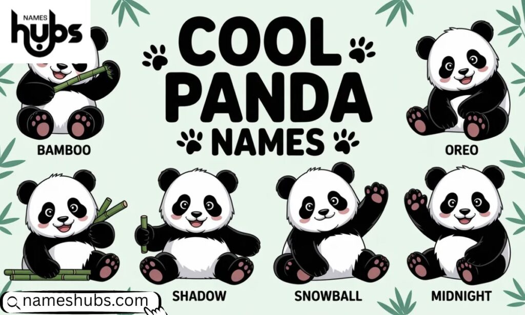 Cool Panda Names