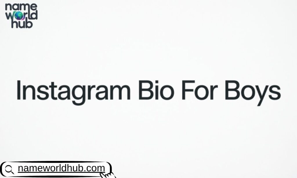 Instagram Bio For Boys Stylish Font