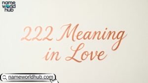 222 Meaning in Love