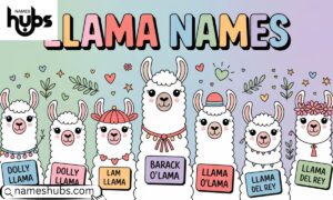 Llama Names