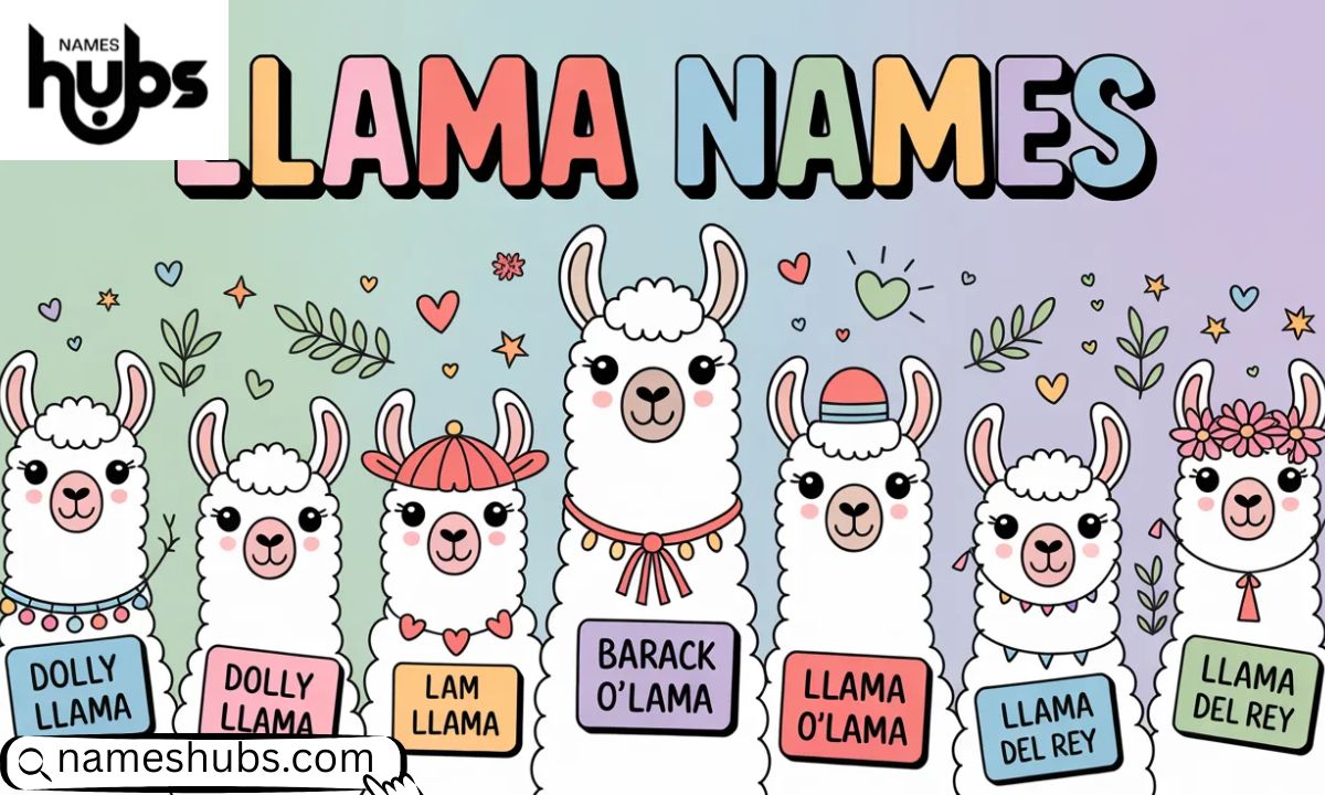 Llama Names