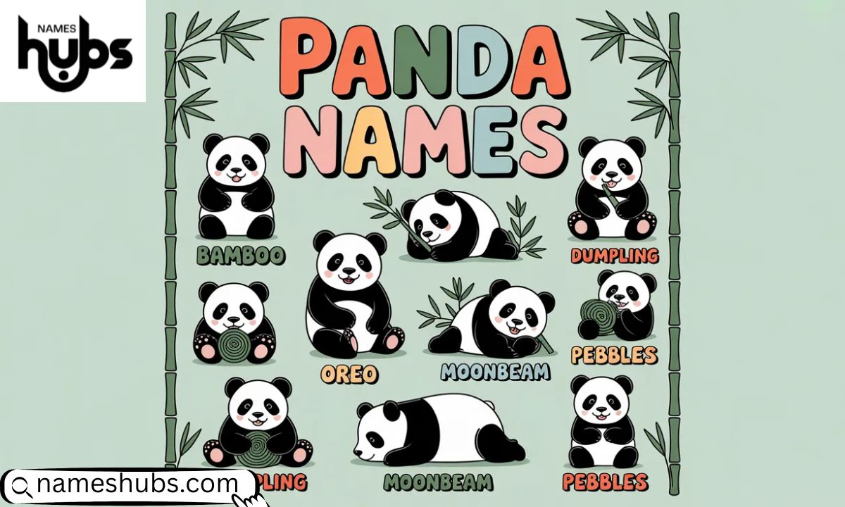 Panda Names